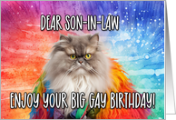 Son in Law Big Gay...