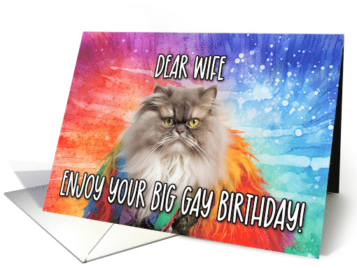 Wife Big Gay Birthday Persian Cat card (1768174)