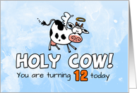 Holy Cow Birthday 12 years old card