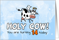 Holy Cow Birthday 14 years old card