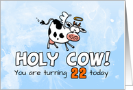 Holy Cow Birthday 22 years old card