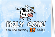 Holy Cow Birthday 37 years old card
