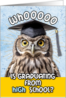 High School Graduation Congratulations Owl card