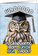 Junior High School Graduation Congratulations Owl card