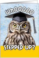 Stepping Up Graduation Congratulations Owl card