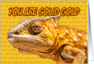 Solid Gold Chameleon...