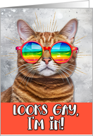 Look Gay Rainbow Glasses Cat card