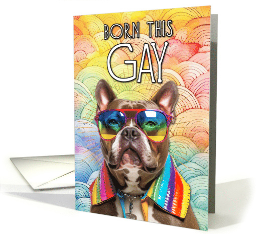 Gay Pride Born This Gay American Bully card (1771486)