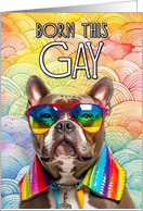 Gay Pride Born This Gay American Bully card