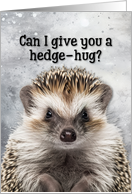 Encouragement Hedgehog Hugs card