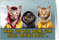 Encouragement Rough Weather Cats in Raincoats card