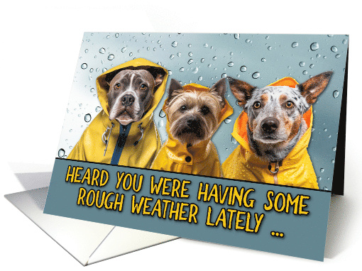Encouragement Rough Weather Dogs in Raincoats card (1772088)