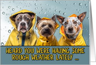 Encouragement Rough Weather Dogs in Raincoats card