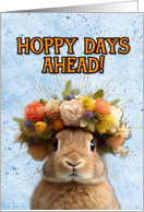 Congratulations New Pet Rabbit card