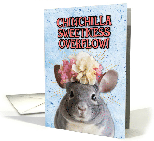 Congratulations New Pet Chinchilla card (1772140)