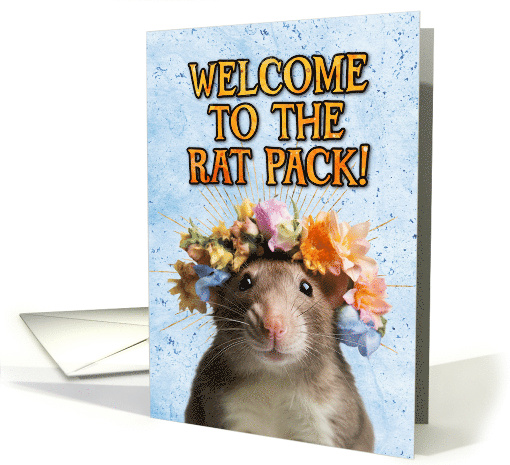 Congratulations New Pet Rat card (1772148)