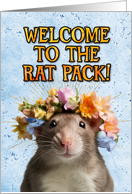 Congratulations New Pet Rat card