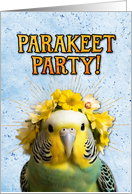 Congratulations New Pet Parakeet card