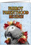 Congratulations New Pet Parrot African Grey card