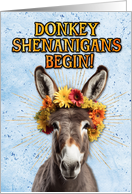 Congratulations New Pet Donkey card