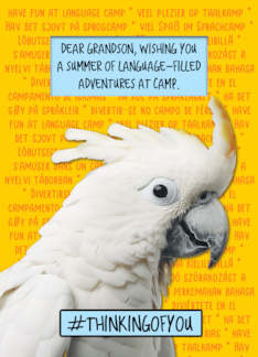Grandson Language...