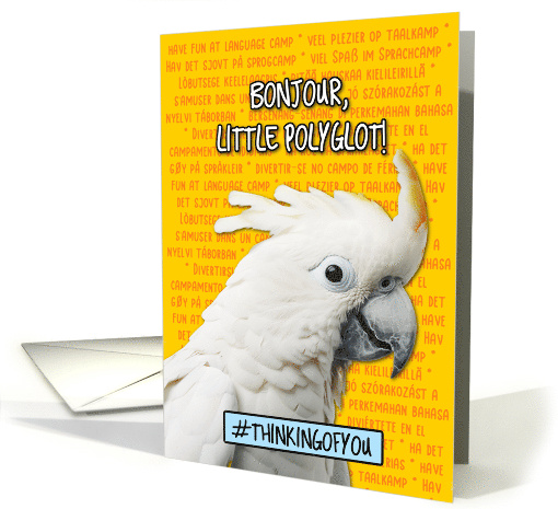 Polyglot Language Camp Cockatoo card (1775090)