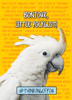 Polyglot Language...