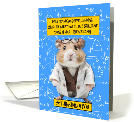 Grandaughter Science Camp Hamster card (1775098)