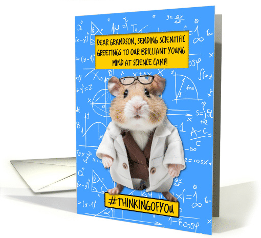 Grandson Science Camp Hamster card (1775100)