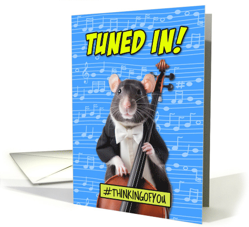Tuned In Band Camp Cello Rat card (1775116)