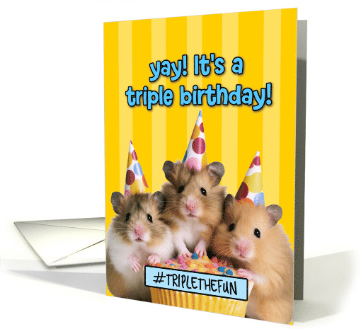 Triplets Happy Birthday Cupcake Hamsters card (1775292)
