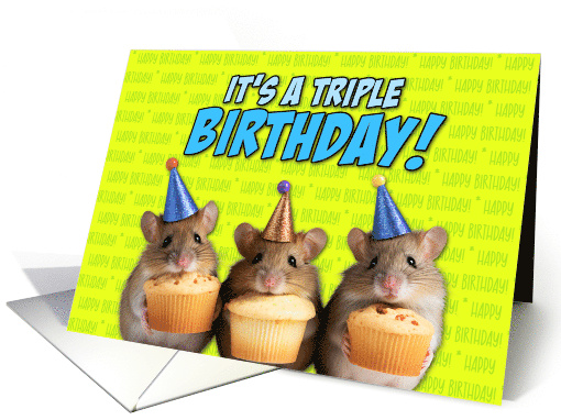 Triplets Happy Birthday Cupcake Mice card (1775294)