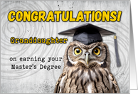 Granddaughter Master’s Degree Congratulations Owl card