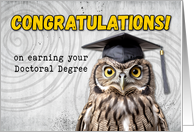 General Doctoral Degree Congratulations Owl card