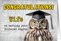 Wife Doctoral Degree Congratulations Owl card