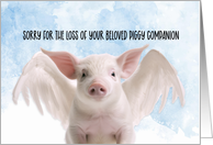 Pet Pig Condolences card