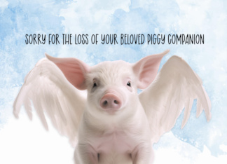 Pet Pig Condolences