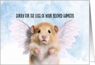 Pet Hamster Condolences card