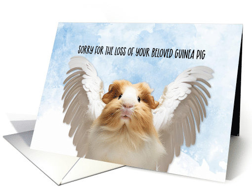 Pet Guinea Pig Condolences card (1776196)