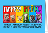 Happy Pride Rainbow Dogs card