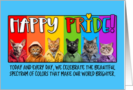 Happy Pride Rainbow Cats card