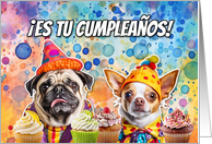 Spanish Pug and Chihuahua Cupcakes Birthday card