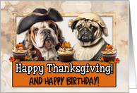 Thanksgiving Birthday Pilgrim Bulldog and Pug couple card