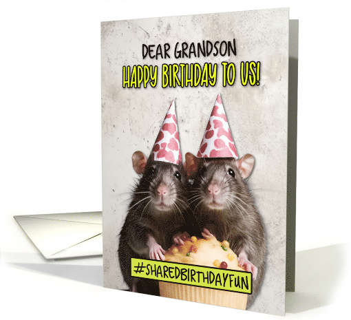 Grandson Shared Birthday Cupcake Rats card (1779186)