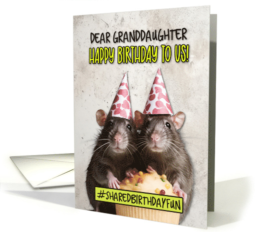 Granddaughter Shared Birthday Cupcake Rats card (1779188)