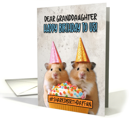 Granddaughter Shared Birthday Cupcake Hamsters card (1779218)