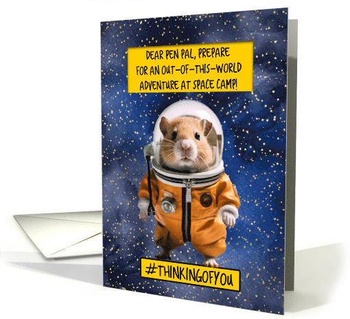 Pen Pal Space Camp Hamster card (1779470)