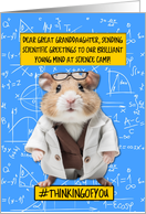 Great Granddaughter Science Camp Hamster card