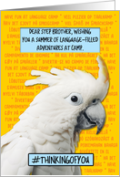 Step Brother Language Camp Cockatoo card
