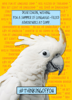 Cousin Language Camp...